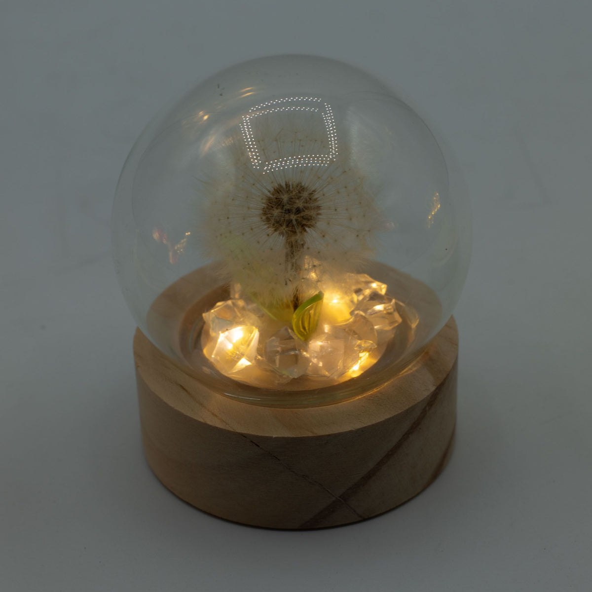 * Dôme floral lumineux – 1 pissenlit, LED à piles