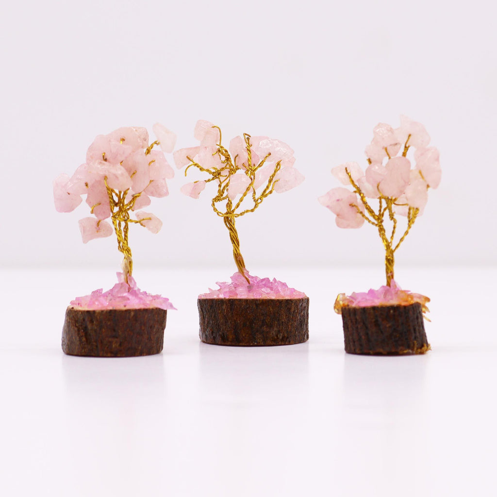 Mini Arbres en Pierres Précieuses sur Socle en Bois – Quartz Rose (15 pierres)
