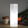 Lampe en bloc de sélénite – Arbre de Vie – 25 cm
