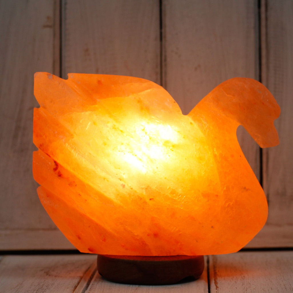 * Lampe en sel de l’Himalaya en forme de cygne