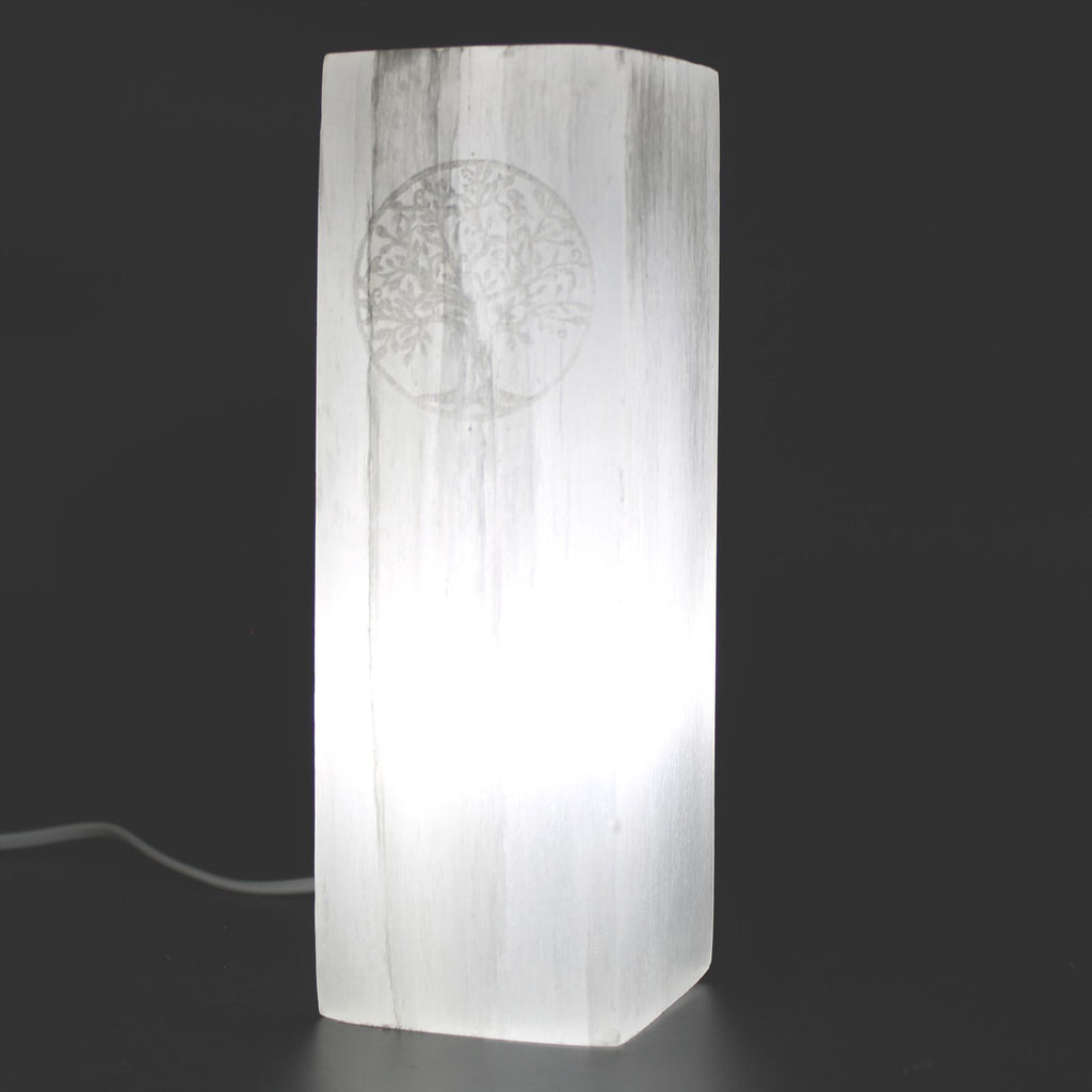 Lampe en bloc de sélénite – Arbre de Vie – 25 cm