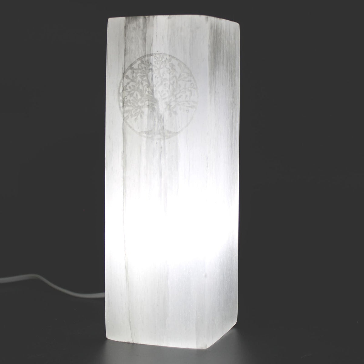 Lampe en bloc de sélénite – Arbre de Vie – 25 cm