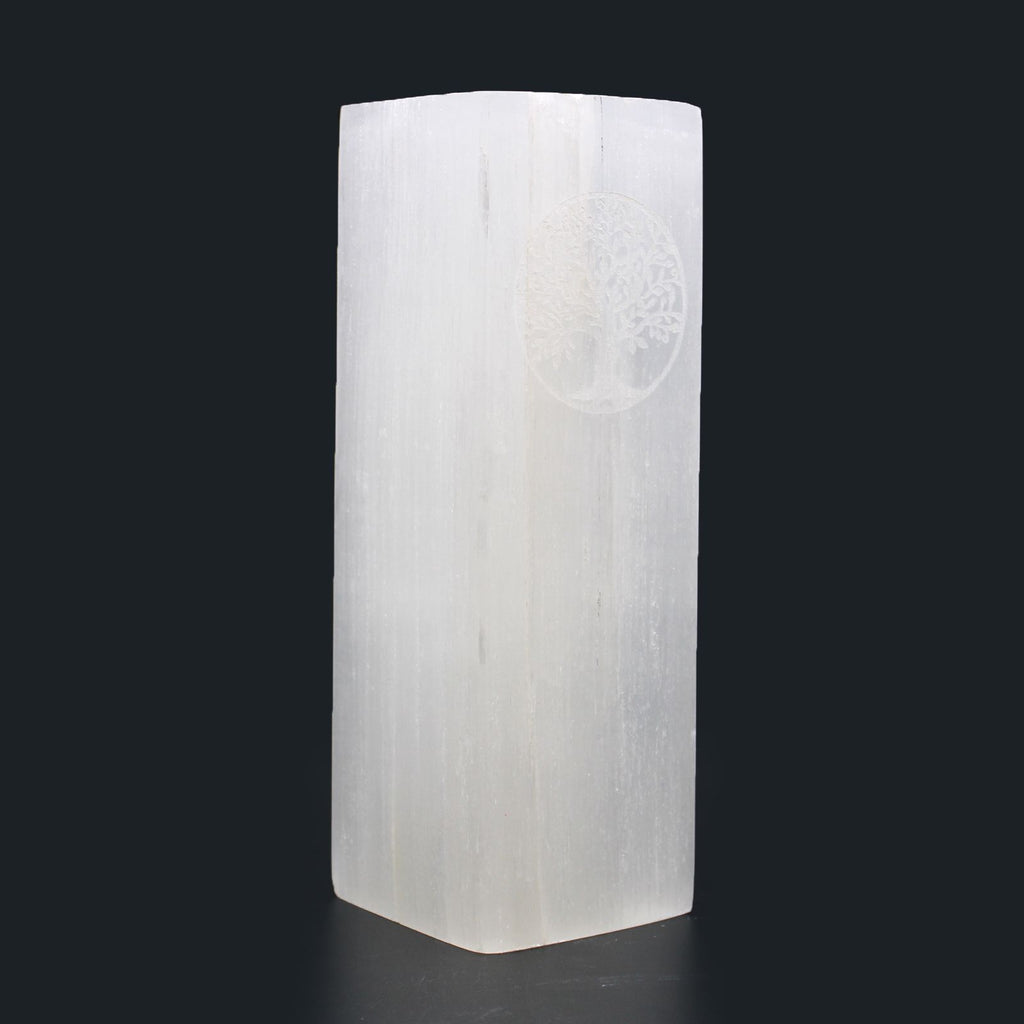 Lampe en bloc de sélénite – Arbre de Vie – 25 cm