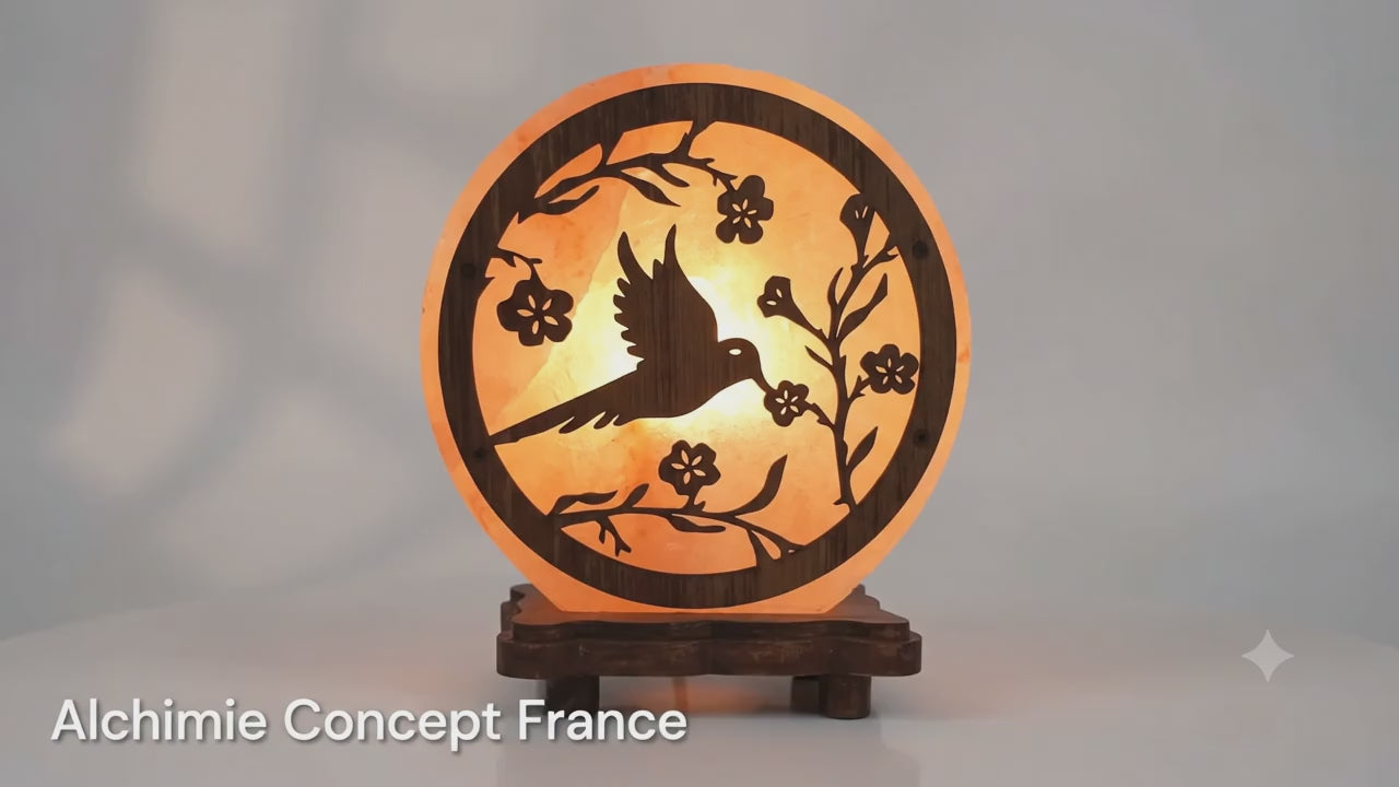 ✨ Lampe de Sel de l'Himalaya Oiseau Seul 5 kg | Lumière Ambre | Sérénité & Liberté Intérieure