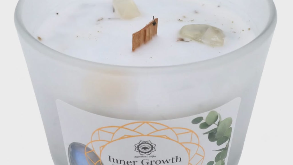 Bougie Green Tree Croissance Intérieure | Pierre de Lune & Menthe | Épanouissement & Méditation 256g